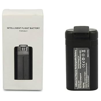 DJI バッテリー 1950mAh 2個＋ケース DJI Osmo Action 多機能バッテリーケース 2 - セキドオンライン